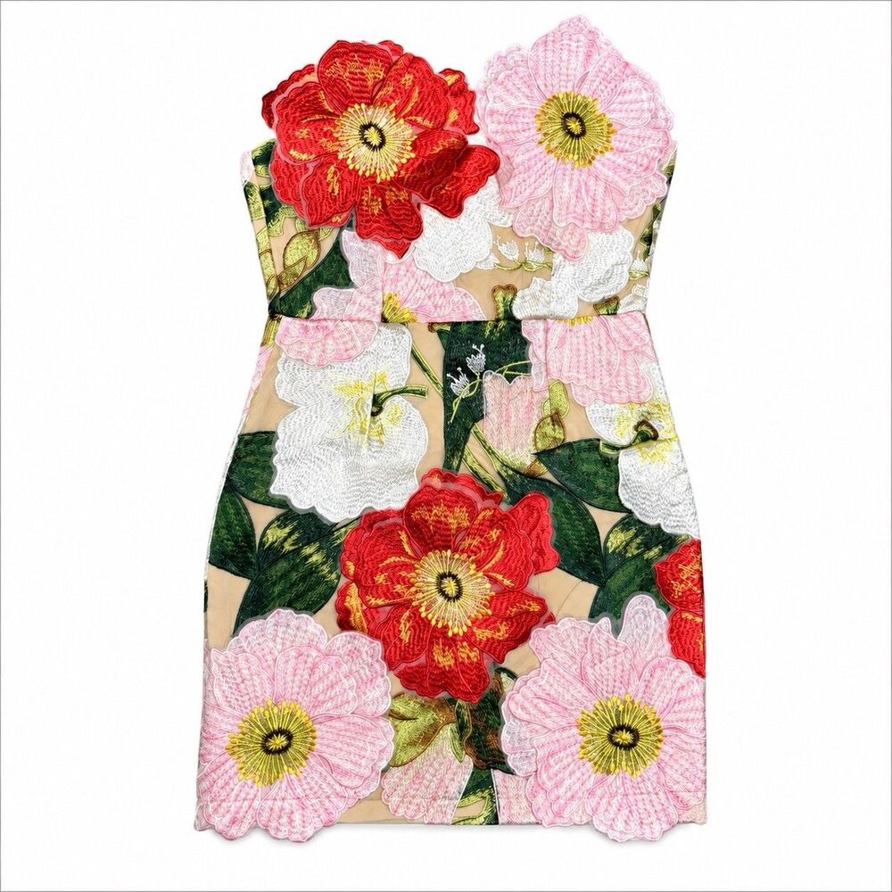 Productseeker 3D Floral Embroidered Mini Dress XS Coquette Romantic Cocktail NWT - Picture 2 of 8